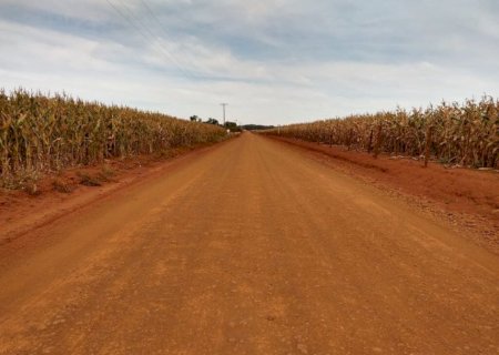 Mato Grosso do Sul colheu quase todo o milho segunda safra 2021/2022