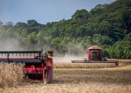Chuva dá trégua e favorece colheita da soja, que já supera 25% da área em MS