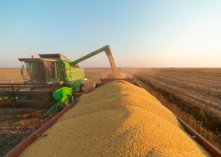 Mato Grosso do Sul encerra colheita da soja 2022/23