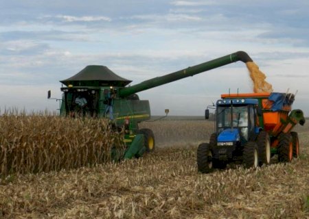 Colheita do milho avança 100 mil hectares na semana, mas pico deve ocorrer em agosto