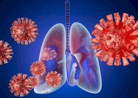 Novo anti-inflamatório feito de planta pode ser usado no tratamento contra COVID-19