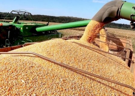Produção agrícola de MS deve superar 106,5 milhões de toneladas em 2024