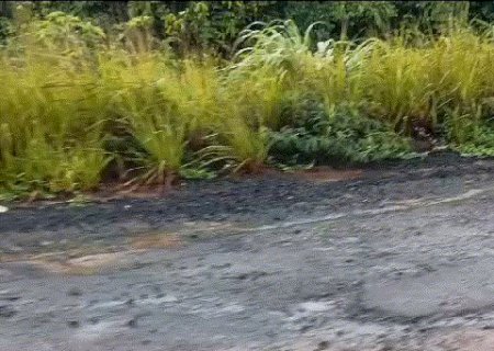 Local de acidentes com mortes e j&aacute; investigada, MS-436 volta a ficar esburacada