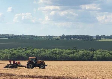 Prazo para declarar &aacute;rea plantada com soja em MS termina no dia 10