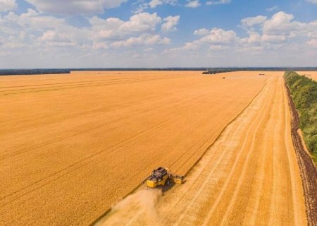 Setor agropecu&aacute;rio brasileiro deve crescer 11,5% e alcan&ccedil;ar R$ 1,4 trilh&atilde;o