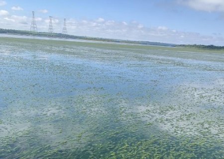 Perto da maior barragem, o apelo por &aacute;gua na piracema: "acabando com o rio"