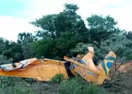 Piloto de avi&atilde;o agr&iacute;cola morre ap&oacute;s aeronave cair em MS