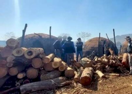 MS foi o 6&ordm; estado com mais pessoas resgatadas de trabalho escravo em 2024