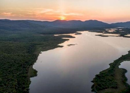 Para avan&ccedil;ar na agenda clim&aacute;tica e mercado de carbono MS faz parceria t&eacute;cnica