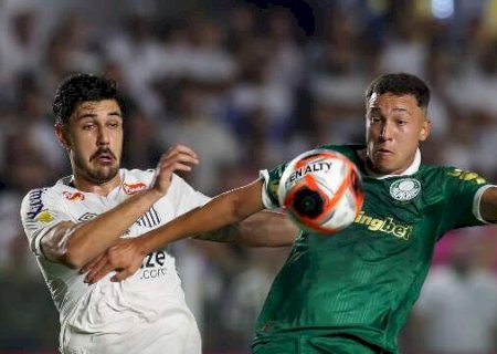 De virada, Palmeiras vence Santos em cl&aacute;ssico no Paulist&atilde;o