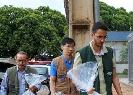 Milhares de pacotes de "p&oacute; doce" s&atilde;o entregues para an&aacute;lise na Pol&iacute;cia Federal