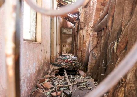 Casa hist&oacute;rica atingida por &aacute;rvore j&aacute; estava tomada pelas ra&iacute;zes, diz dono
