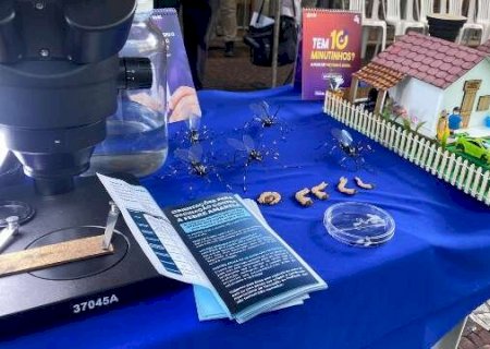Aedes aegypti chega ao Camel&oacute;dromo com alerta sobre a dengue