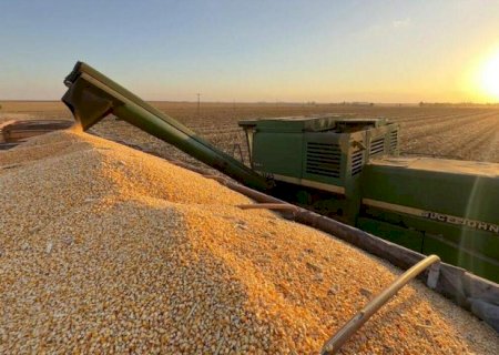 Mercado agr&iacute;cola de MS fecha 2024 com aumento no pre&ccedil;o do milho