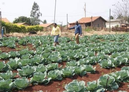 Prote&ccedil;&atilde;o do territ&oacute;rio quilombola &eacute; tema de reuni&atilde;o no MPF/MS