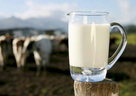 Para atender produtores de 22 munic&iacute;pios, est&atilde;o abertas inscri&ccedil;&otilde;es no Proleite