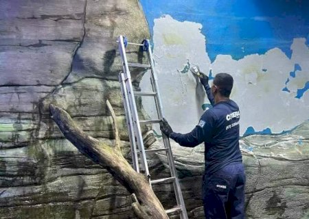 Bioparque Pantanal: Renova&ccedil;&atilde;o e Reabertura