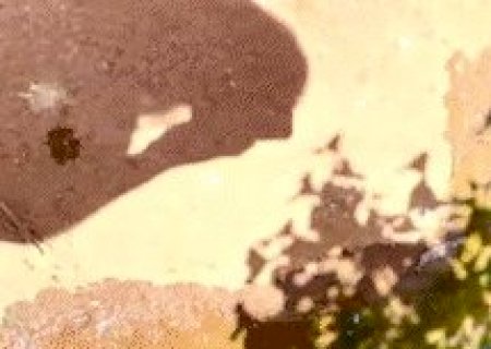 Moradores da Vila Nasser reclamam de &aacute;gua "parada" em valetas de rua