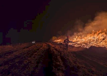 Queimadas no Pa&iacute;s aumentaram 79% e consumiram 1,9 milh&atilde;o de hectares no Pantanal