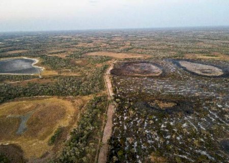 Governo prepara reuni&otilde;es mensais para enfrentar a seca cr&iacute;tica no Pantanal