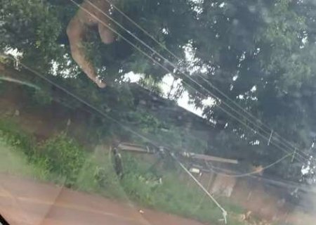 &Ocirc;nibus bate em poste e deixa rua no Jardim Moren&atilde;o sem energia