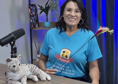 Vai viajar? A Olhar Felino est&aacute; pronta para cuidar do seu gatinho