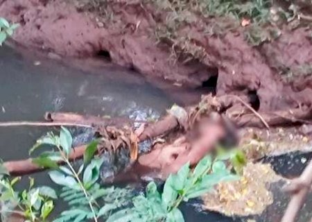 Enroscado em galhos, corpo de homem &eacute; encontrado em c&oacute;rrego