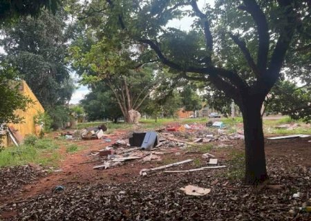 Manguezal no Aero Rancho acumula lixo e preocupa moradores