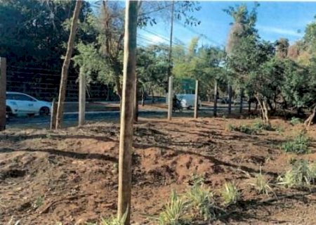 Canteiro perde oito arvores e autor &eacute; multado em R$ 32,2 mil pelo crime