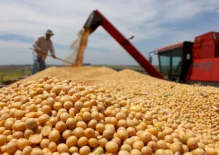 Empresas de MS: agrot&oacute;xico &eacute; encontrado em soja e China barra exporta&ccedil;&atilde;o