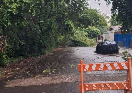 Em MS, 21 munic&iacute;pios tiveram chuva at&eacute; 148% al&eacute;m do esperado em dezembro