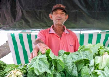Na terra do agro, quem vende org&acirc;nico se v&ecirc; "esquecido" pelo consumidor