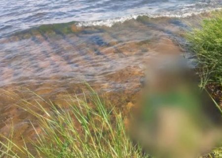Turista morre afogado no Rio Paran&aacute; em MS