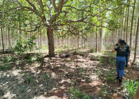 Corpo &eacute; encontrado decapitado e pol&iacute;cia tenta identificar v&iacute;tima