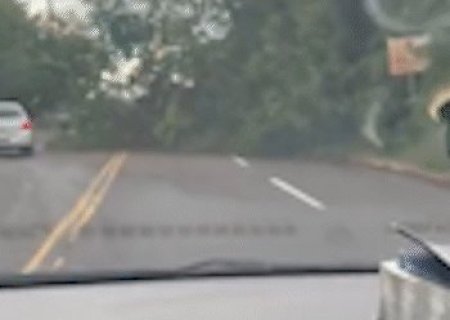 Durante tempestade, &aacute;rvore cai em barraco e outra bloqueia avenida da Capital