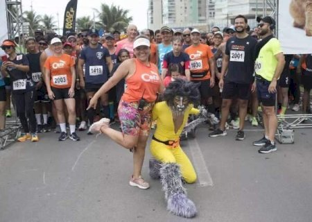 Para reunir os tutores, professora traz "Cats Run" para Campo Grande