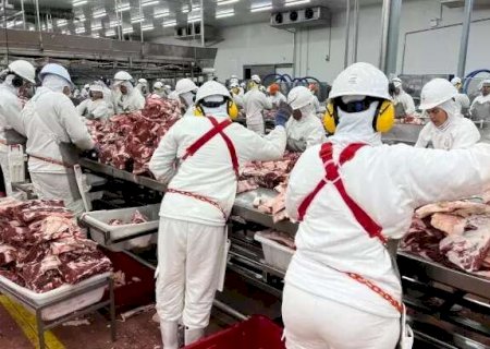 Emprego formal cresceu mais de 6% na ind&uacute;stria de Mato Grosso do Sul