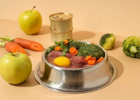 Alimenta&ccedil;&atilde;o natural at&eacute; faz bem para pet, mas exige muita aten&ccedil;&atilde;o