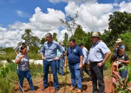MS inclui agricultura familiar no mercado de cr&eacute;dito de carbono