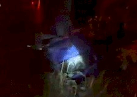 Condutor causa acidente e morre esmagado pela pr&oacute;pria carreta em rodovia