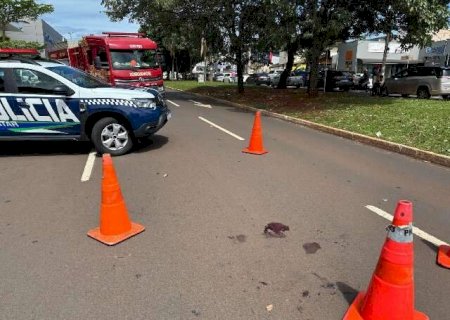 Idosa &eacute; atropelada por caminhonete na cal&ccedil;ada da Mato Grosso