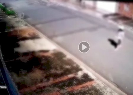 Mulher mata gato de rua e joga corpo em port&atilde;o de vizinha, diz den&uacute;ncia