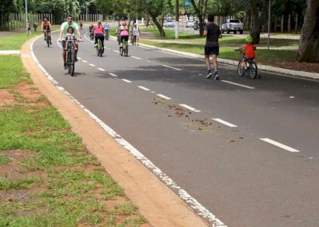 Caos no tr&acirc;nsito e dejetos de cavalo: dif&iacute;cil passear pelo Parque dos Poderes