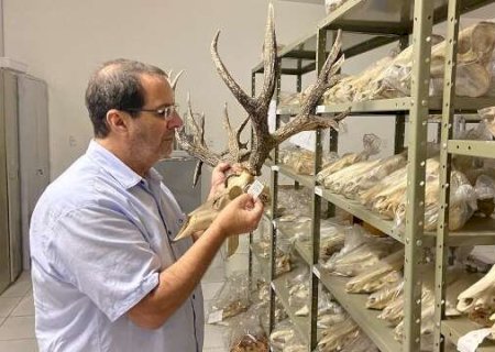 Pesquisador da Embrapa Pantanal recebe o Pr&ecirc;mio Planet Earth 2025