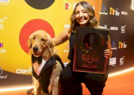 Cachorro estrela de MS chega de limousine e ganha 'Oscar' pet