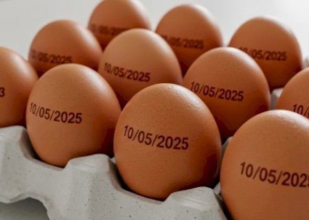 Governo revoga exig&ecirc;ncia de carimbo com validade em cascas de ovos