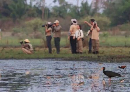 Em mar&ccedil;o, Cine Aves realiza passarinhada para lan&ccedil;ar mais um festival