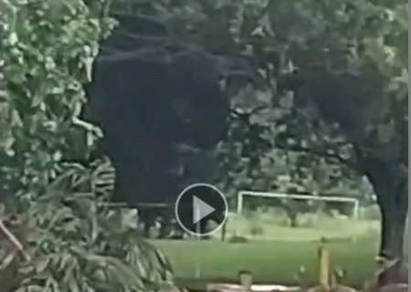 Forte temporal atinge fronteira com Paraguai e causa danos