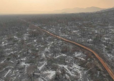 Governo diz que o Pantanal &eacute; o mais preocupante nesta temporada de inc&ecirc;ndios
