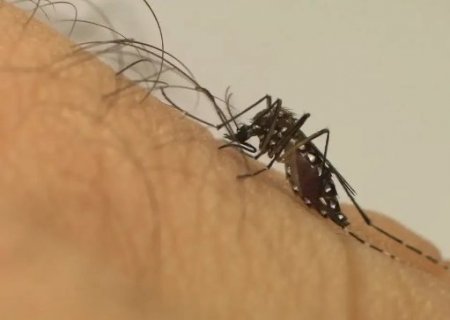 Tr&ecirc;s Lagoas &eacute; a terceira cidade a registrar morte por dengue em MS